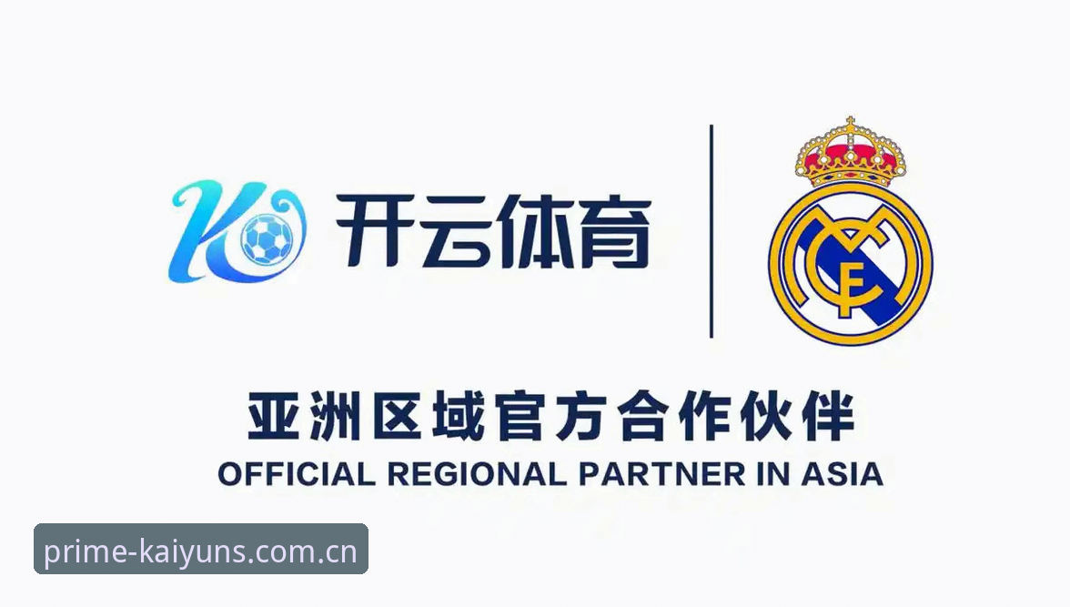 开云体育平台新版VS旧版：坐标升级与登录修复的真实体验对比